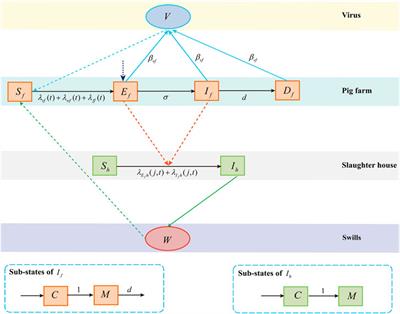 Risk Analysis of the Transmission Route for the African Swine Fever Virus in Mainland China